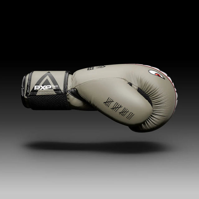 Phantom Athletics Boxhandschuhe Fight Squad - Sand - The Fight Company Deutschland