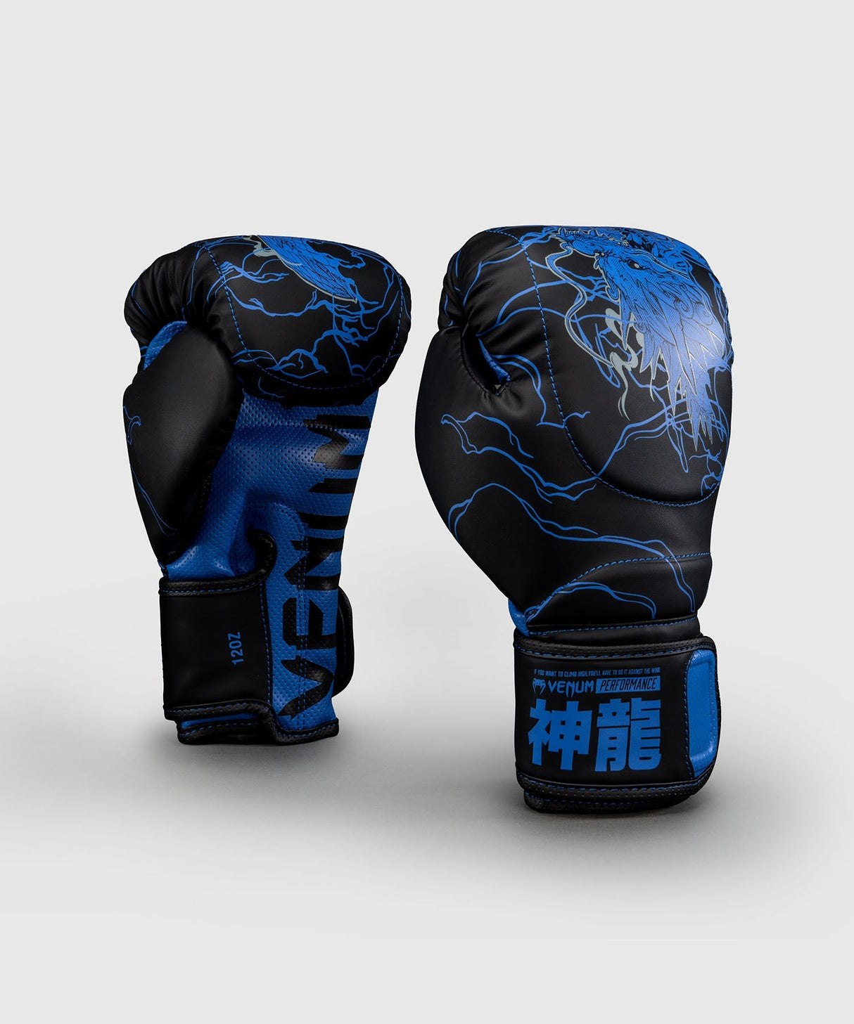 Venum Boxhandschuhe Thunder Dragon - Schwarz/Königsblau