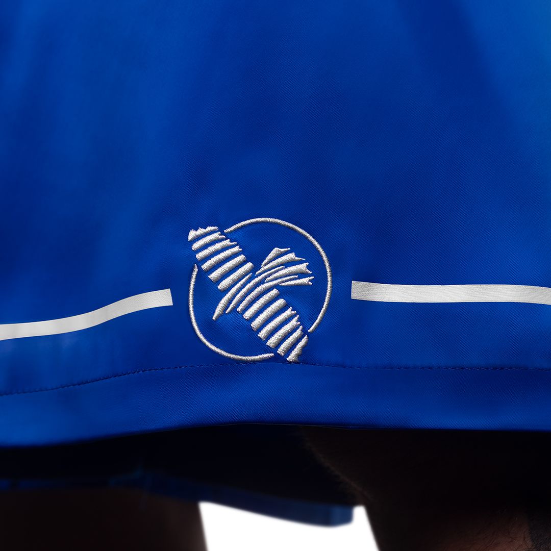 Hayabusa Boxhosen Pro - Blau