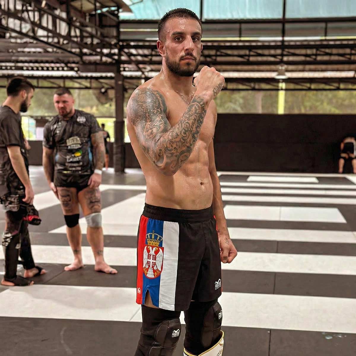 Phantom Athletics MMA Shorts Fusion-R Team Serbia - Schwarz