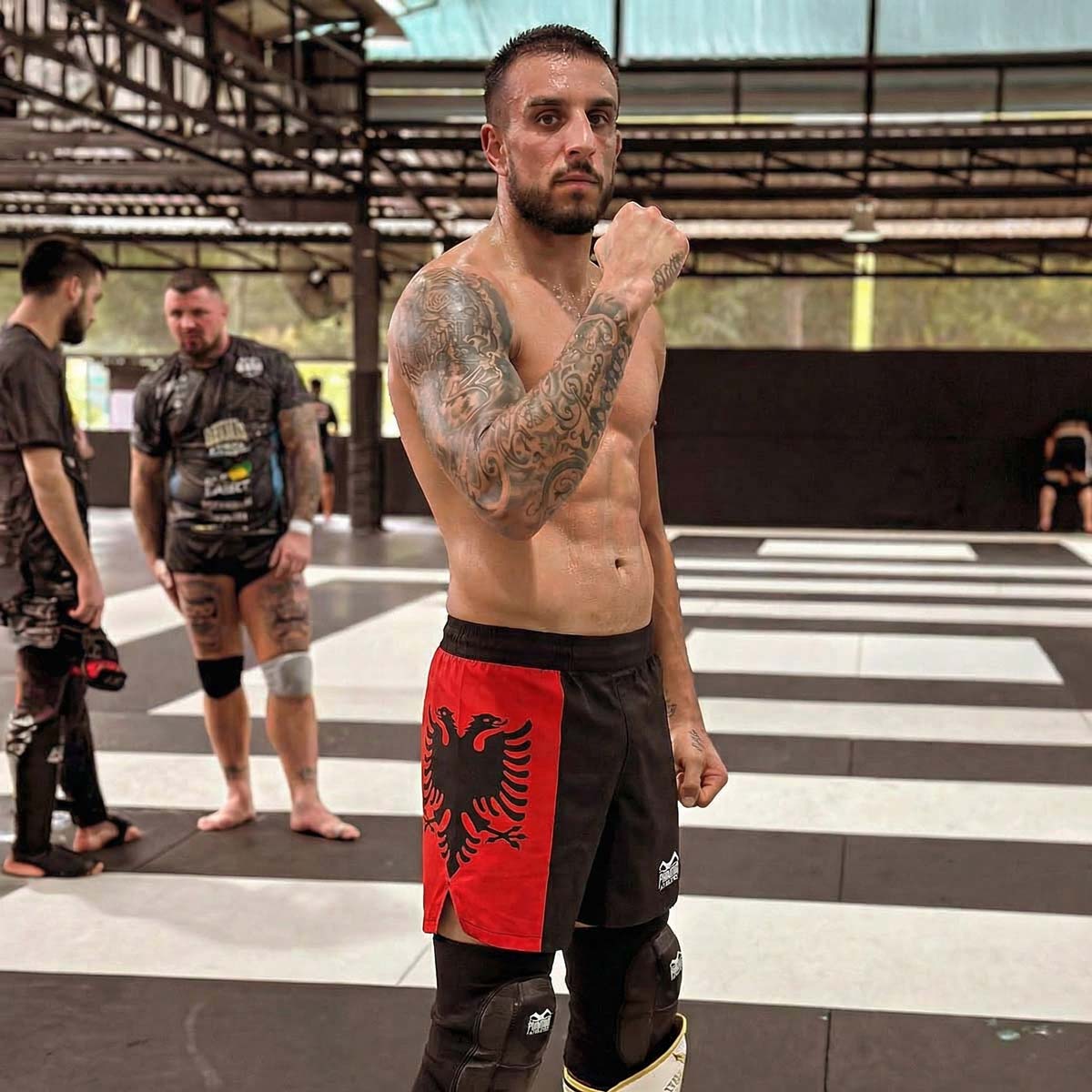 Phantom Athletics MMA-Shorts Fusion-R - Team Albania