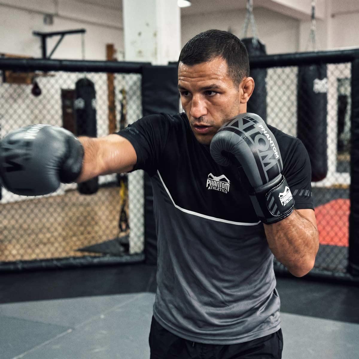 Phantom Athletics T-Shirt EVO Apex - Grau