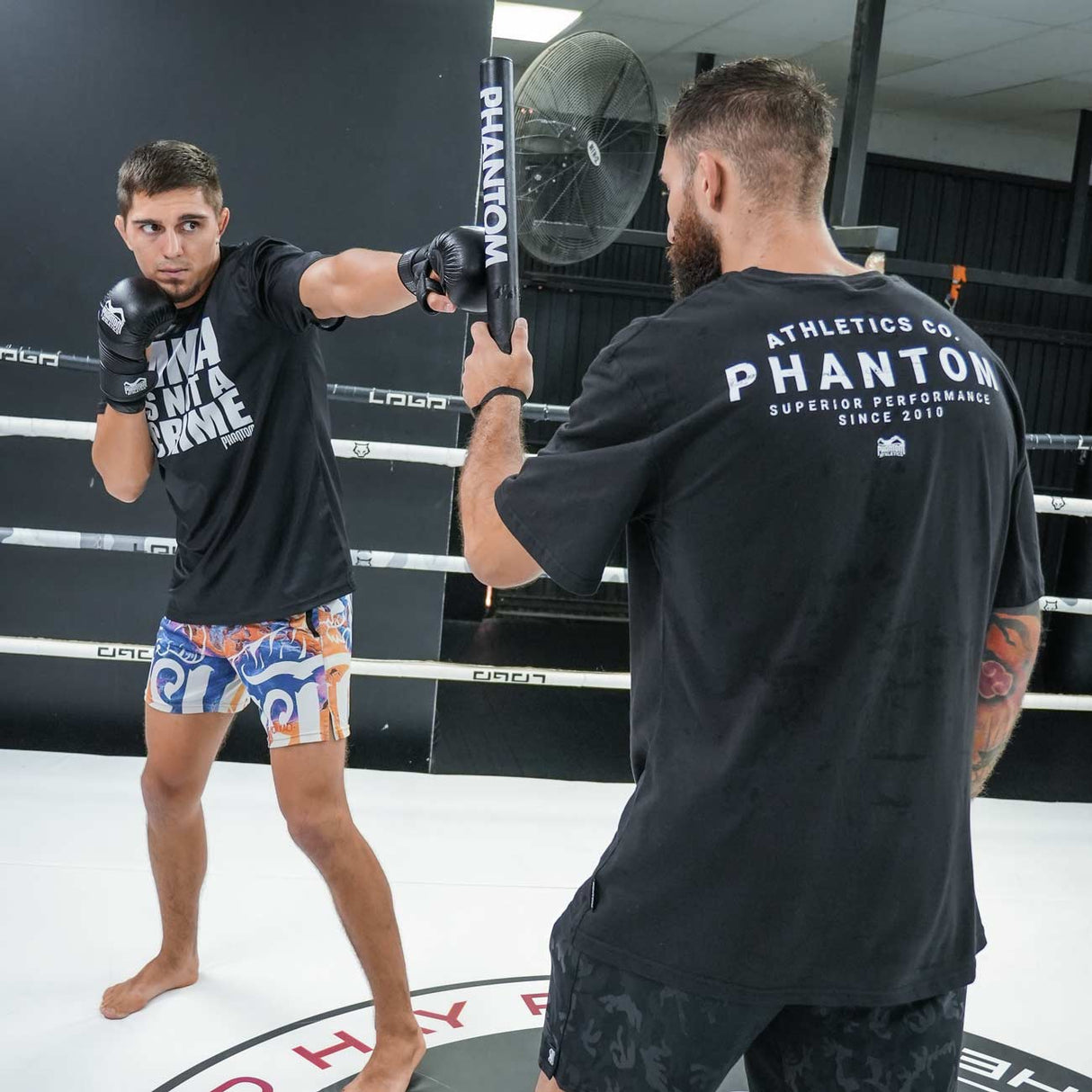Phantom Athletics Boxing Sticks