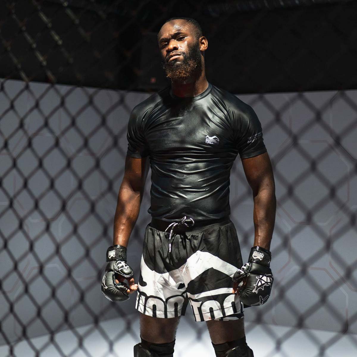 Phantom Athletics MMA Handschuhe Serious - Schwarz