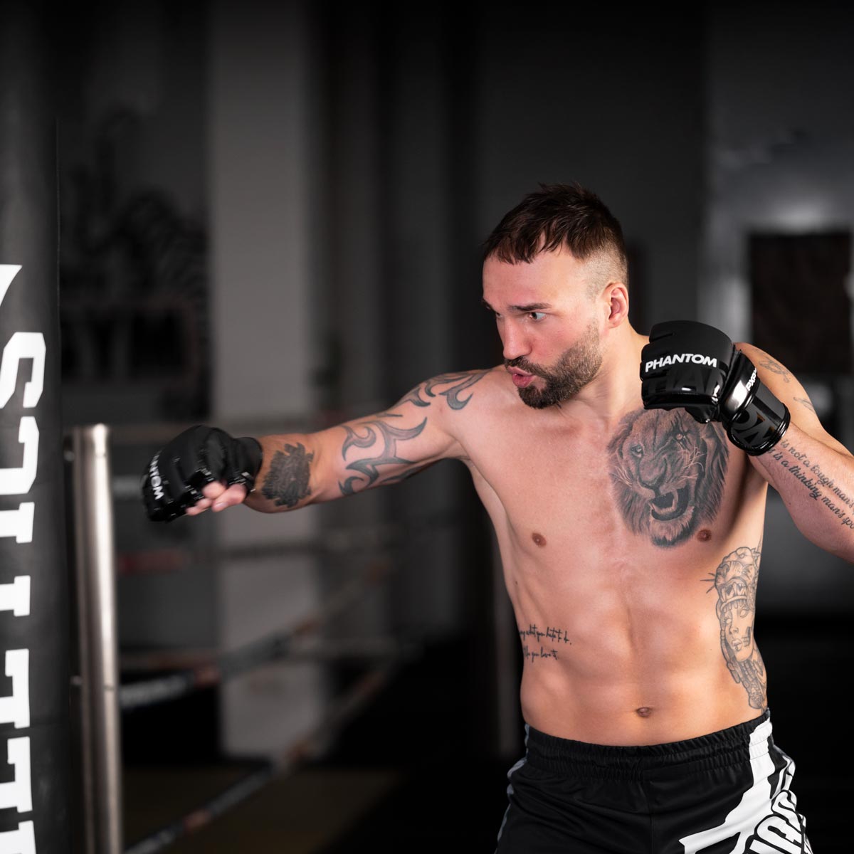 Phantom Athletics MMA Handschuhe Apex - Schwarz
