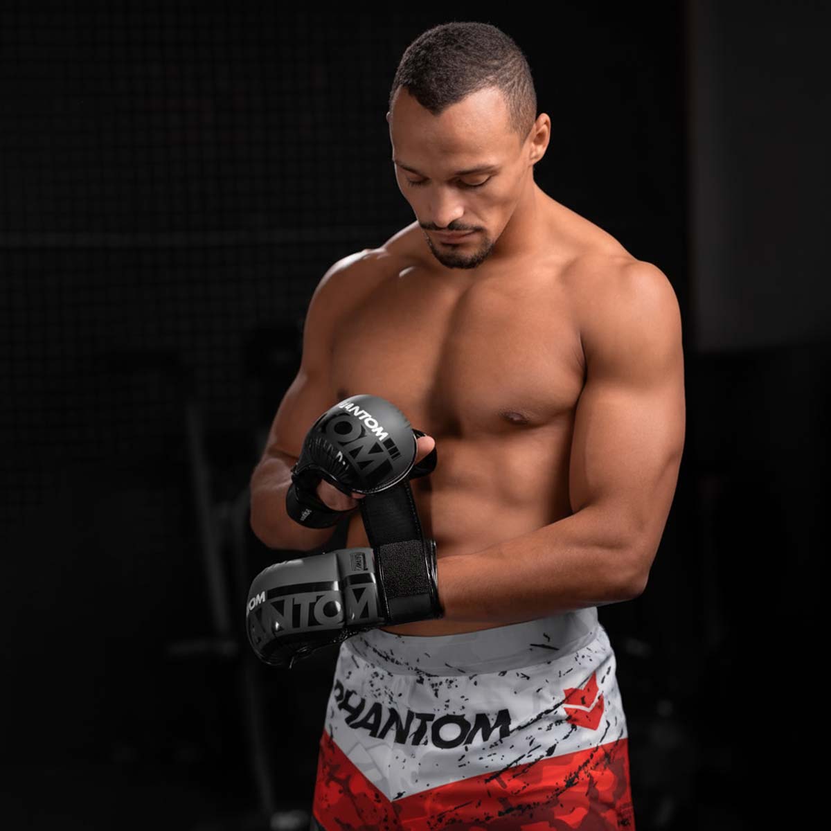 Phantom Athletics MMA-Handschuhe APEX - Grau