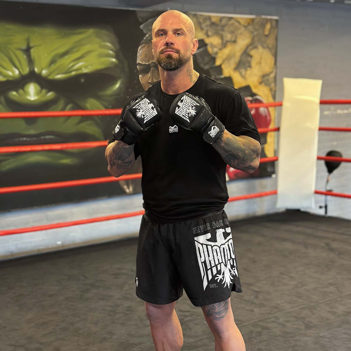 Phantom Athletics MMA Handschuhe - Schwarz/Weiß