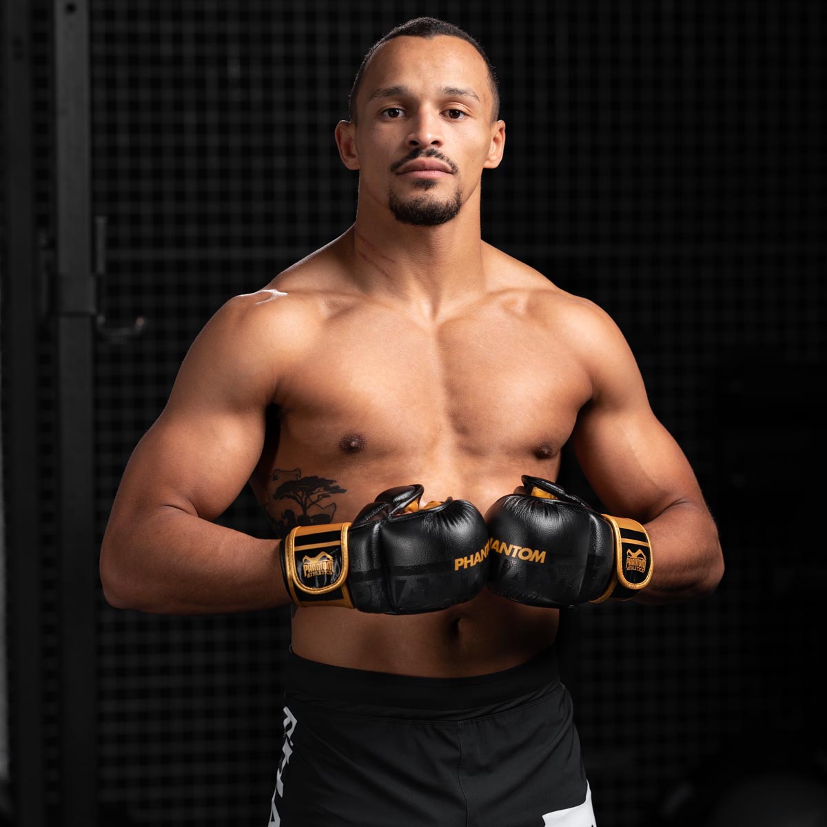 Phantom Athletics MMA Handschuhe APEX - Schwarz/Gold
