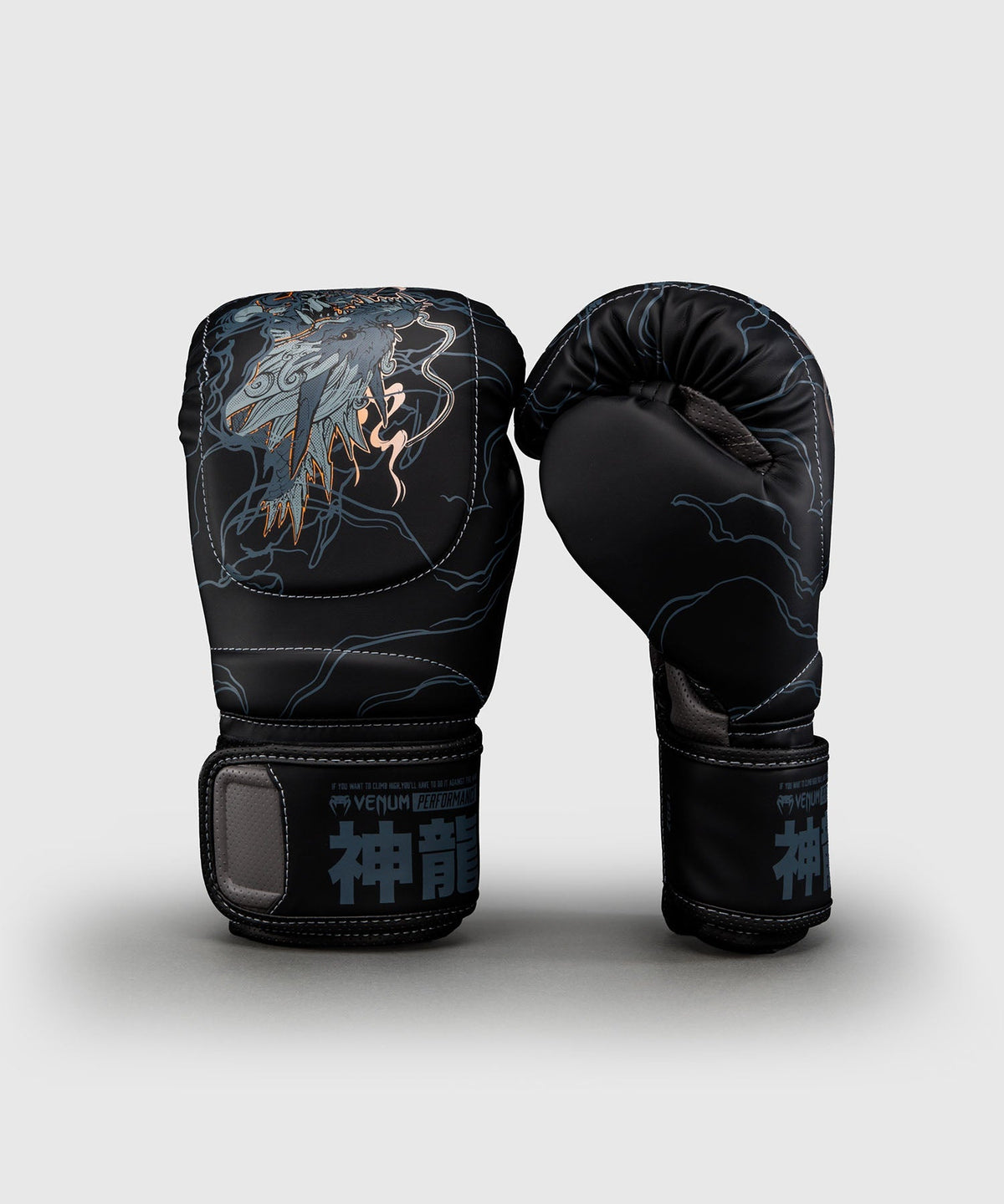 Venum Boxhandschuhe Thunder Dragon - Schwarz/Grau/Kupfer