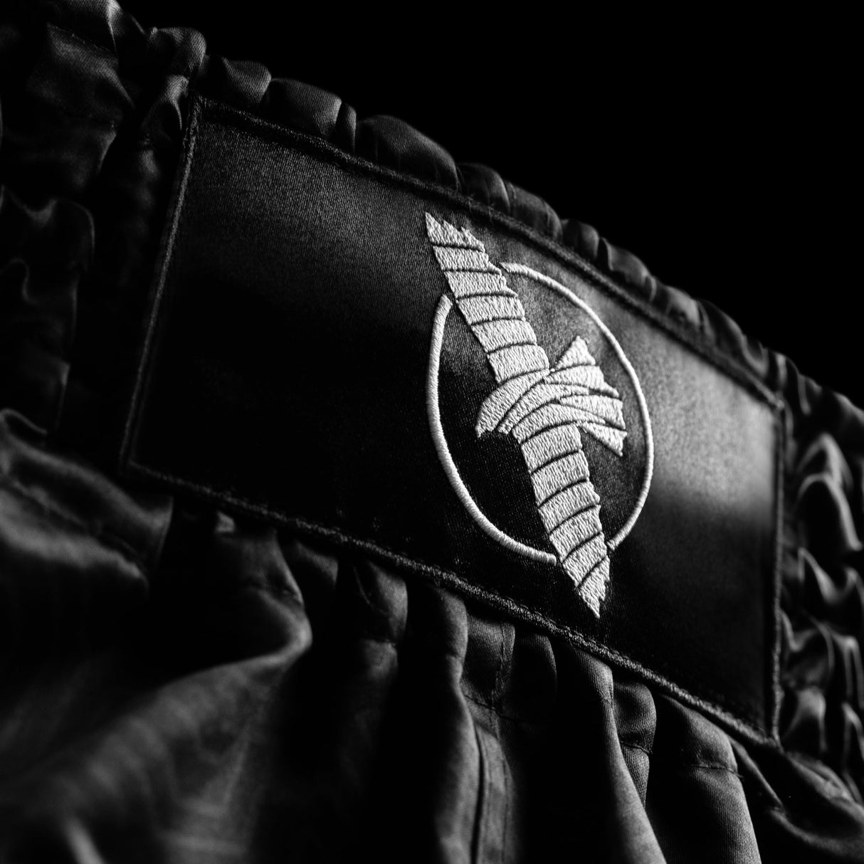 Hayabusa Muay-Thai-Shorts Core - Schwarz