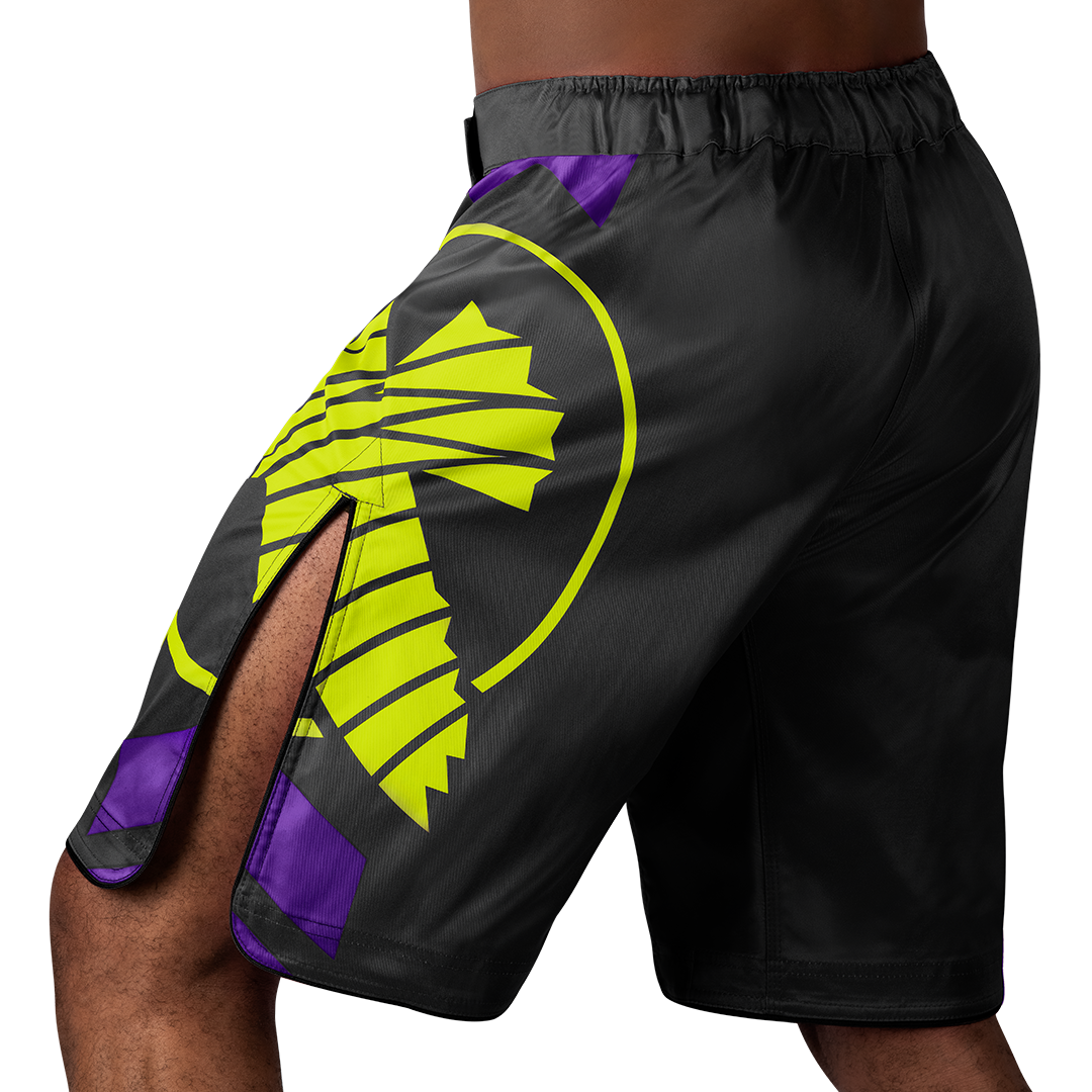 Hayabusa MMA-Shorts Icon Lang - Schwarz/Neon