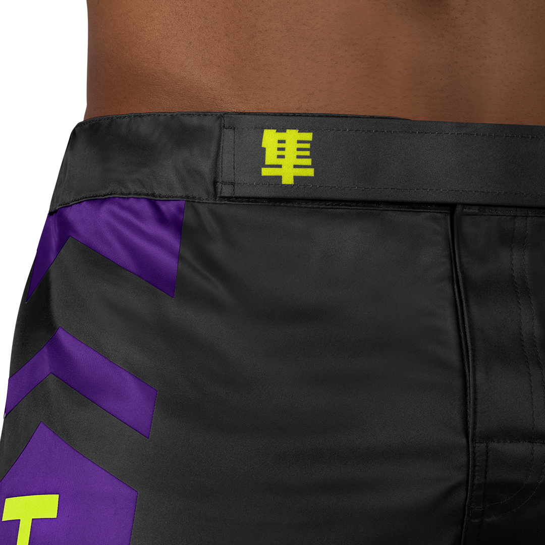 Hayabusa MMA-Shorts Icon Lang - Schwarz/Neon