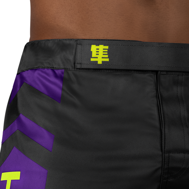 Hayabusa MMA-Shorts Icon Lang - Schwarz/Neon