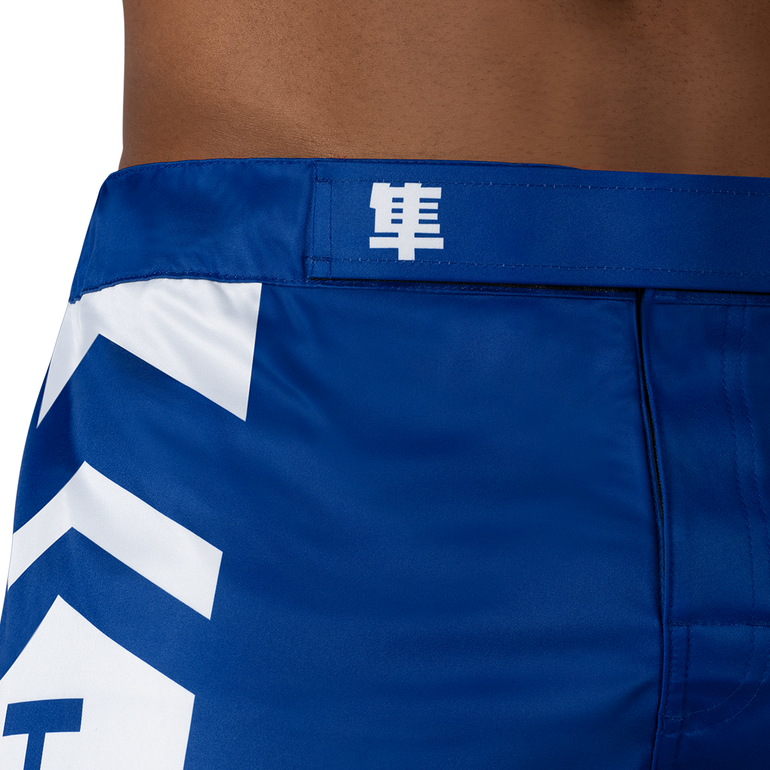 Hayabusa MMA-Shorts Icon Lang - Blau/Weiss