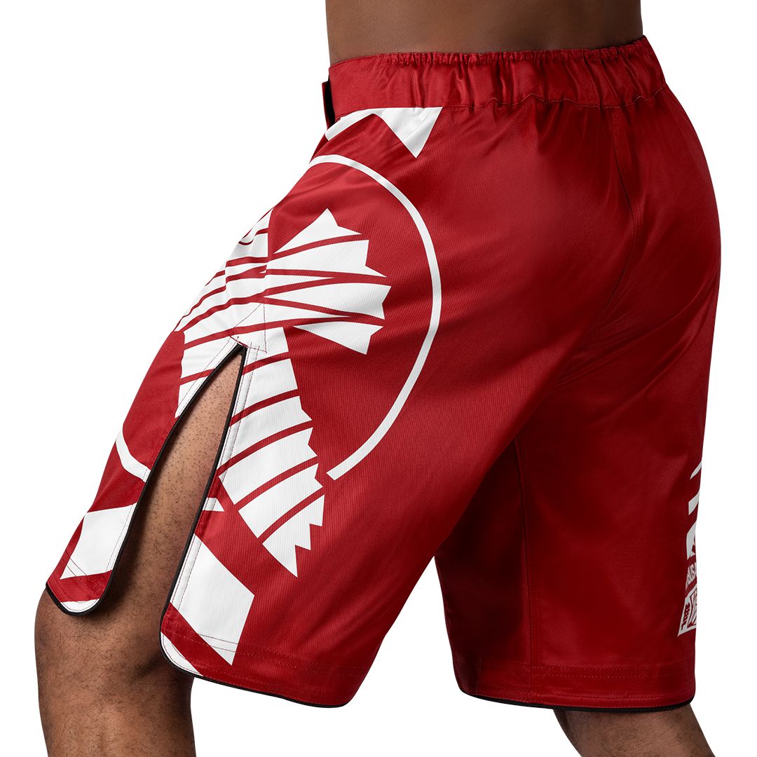 Hayabusa MMA Shorts Icon Lang - Rood/Wit