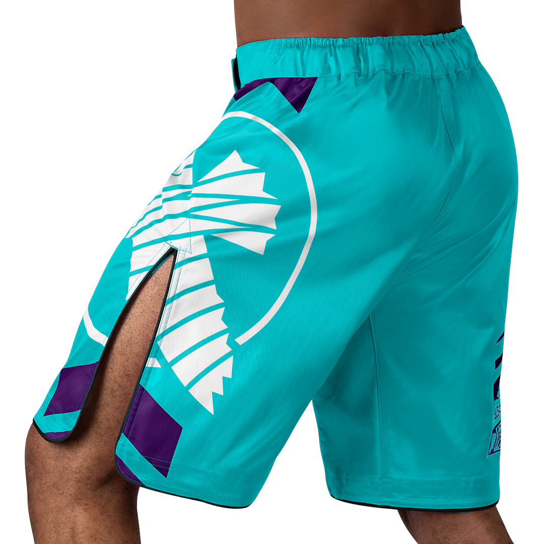 Hayabusa MMA-Shorts Icon Lang - Meergrün