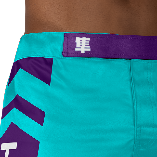 Hayabusa MMA-Shorts Icon Lang - Meergrün