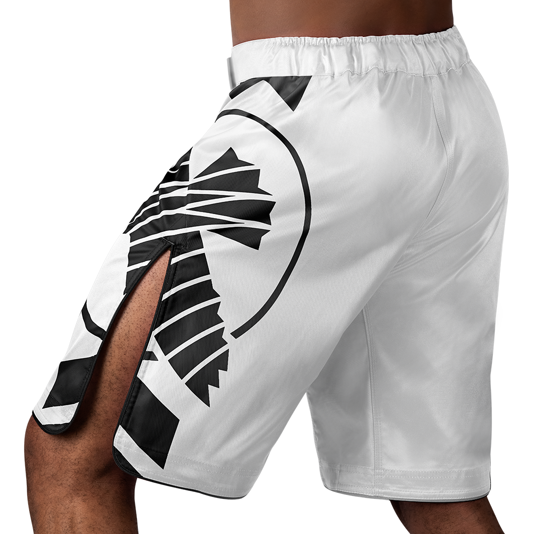 Hayabusa MMA-Shorts Icon Lang - Weiss/Schwarz
