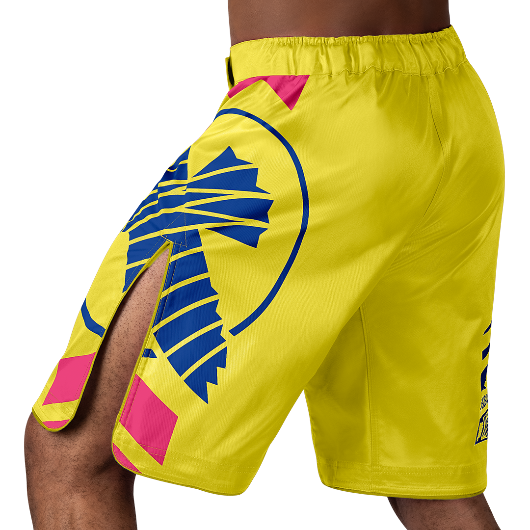 Hayabusa MMA-Shorts Icon Lang - Gelb/Blau/Rosa