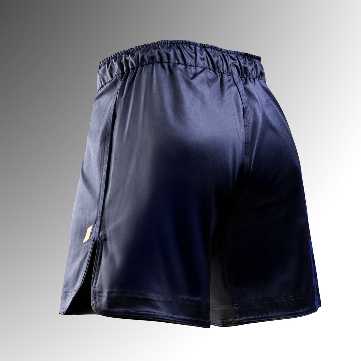 Hayabusa MMA Shorts Apex Lang - Donkerblauw