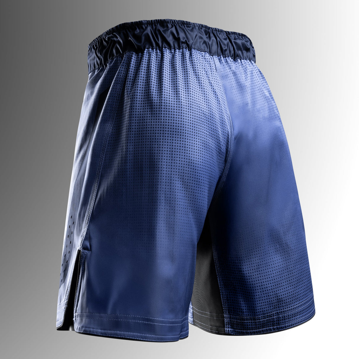 Hayabusa MMA Shorts Core Lang - Blauw