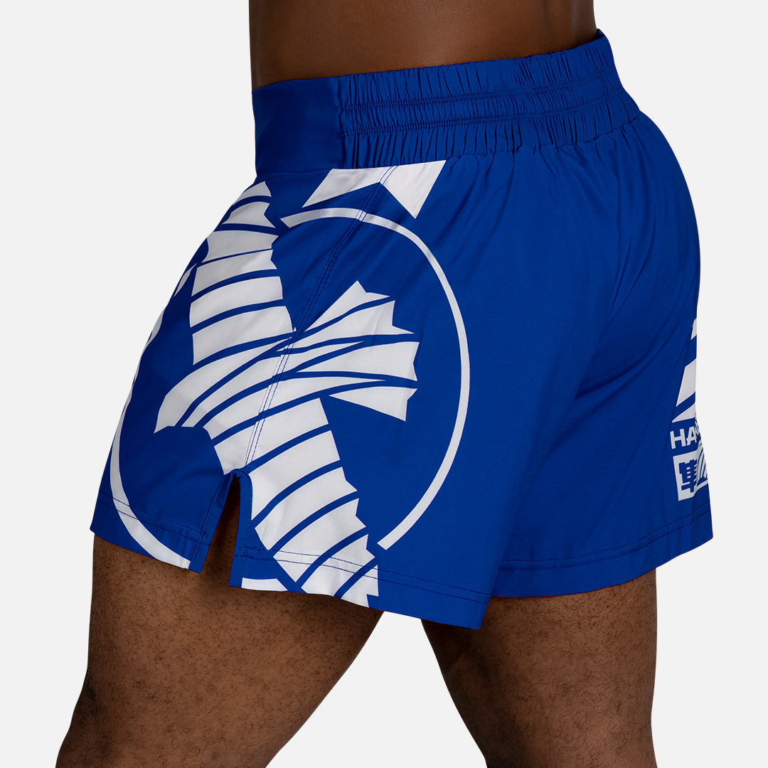 Hayabusa Muay-Thai-Shorts Icon - Blau/Weiß