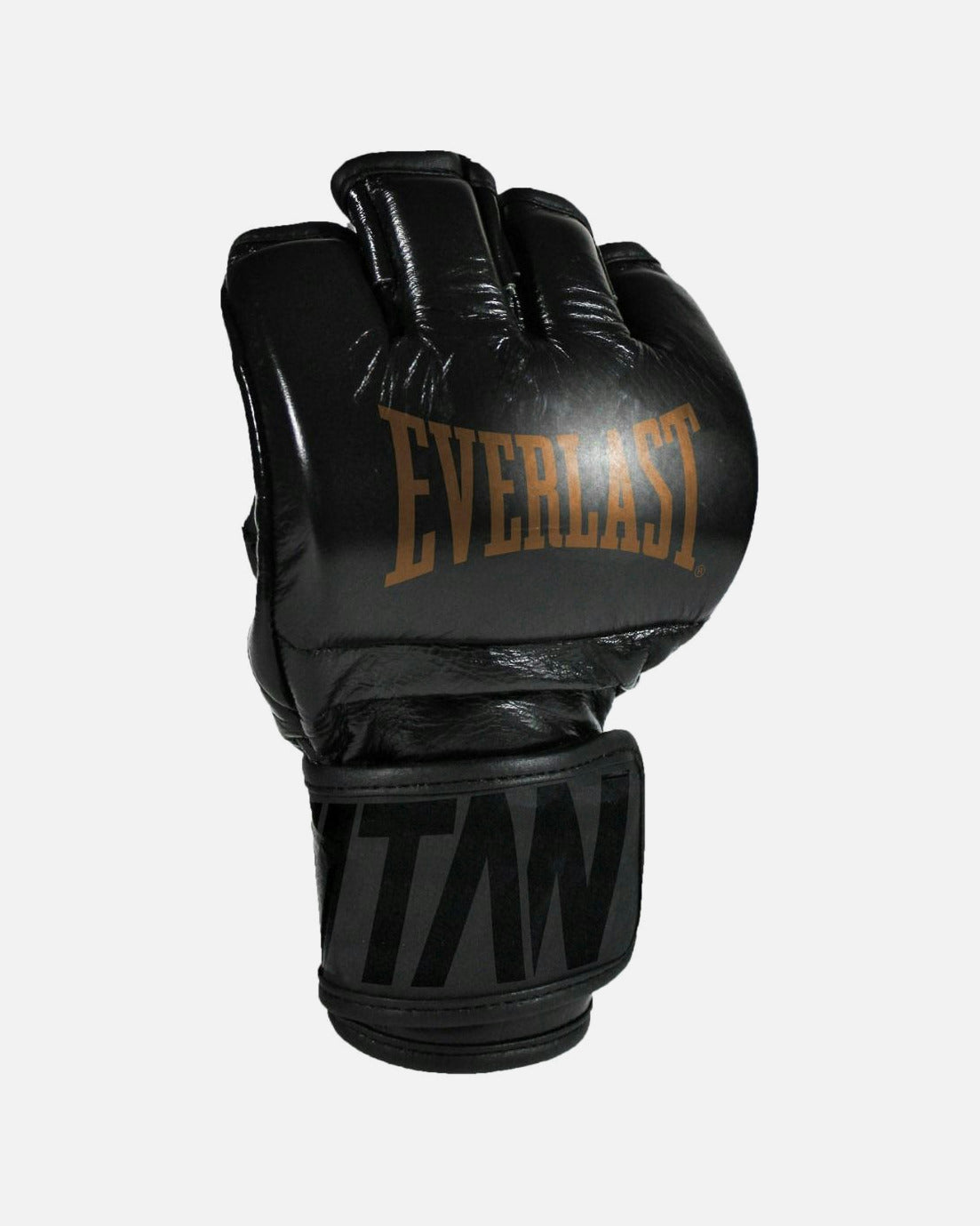 Everlast MMA Handschuhe Titan Pro - Schwarz