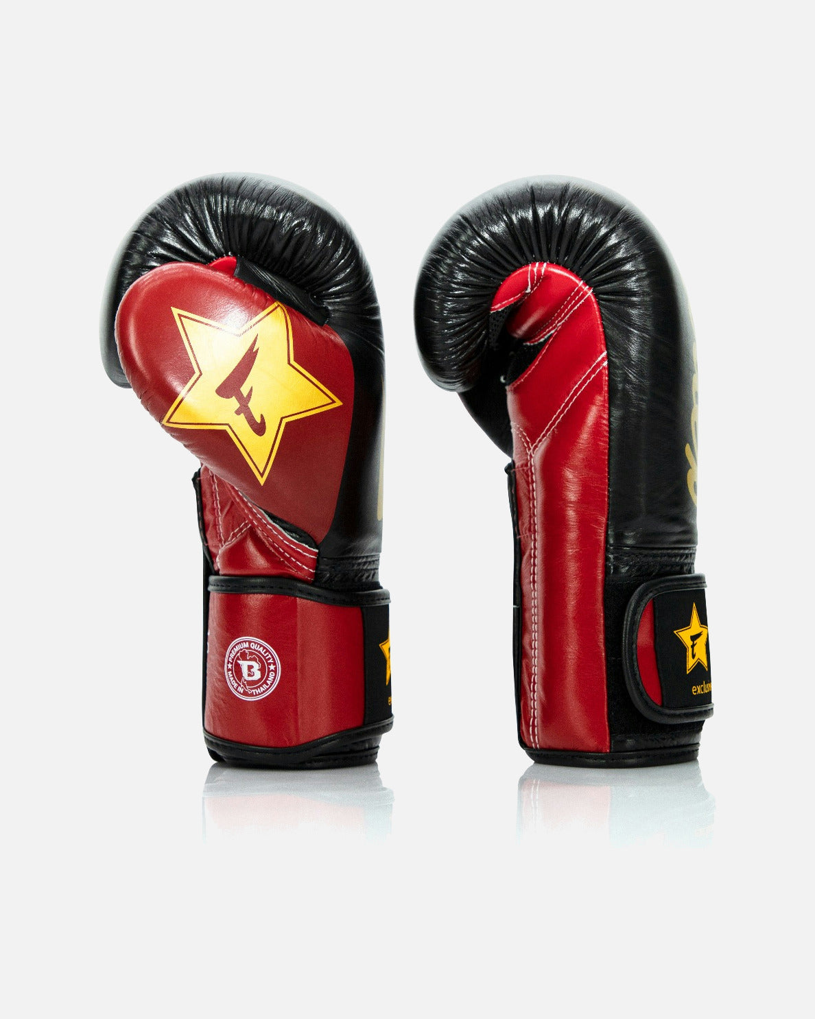 Fairtex Boxhandschuhe FXB V2 - Schwarz