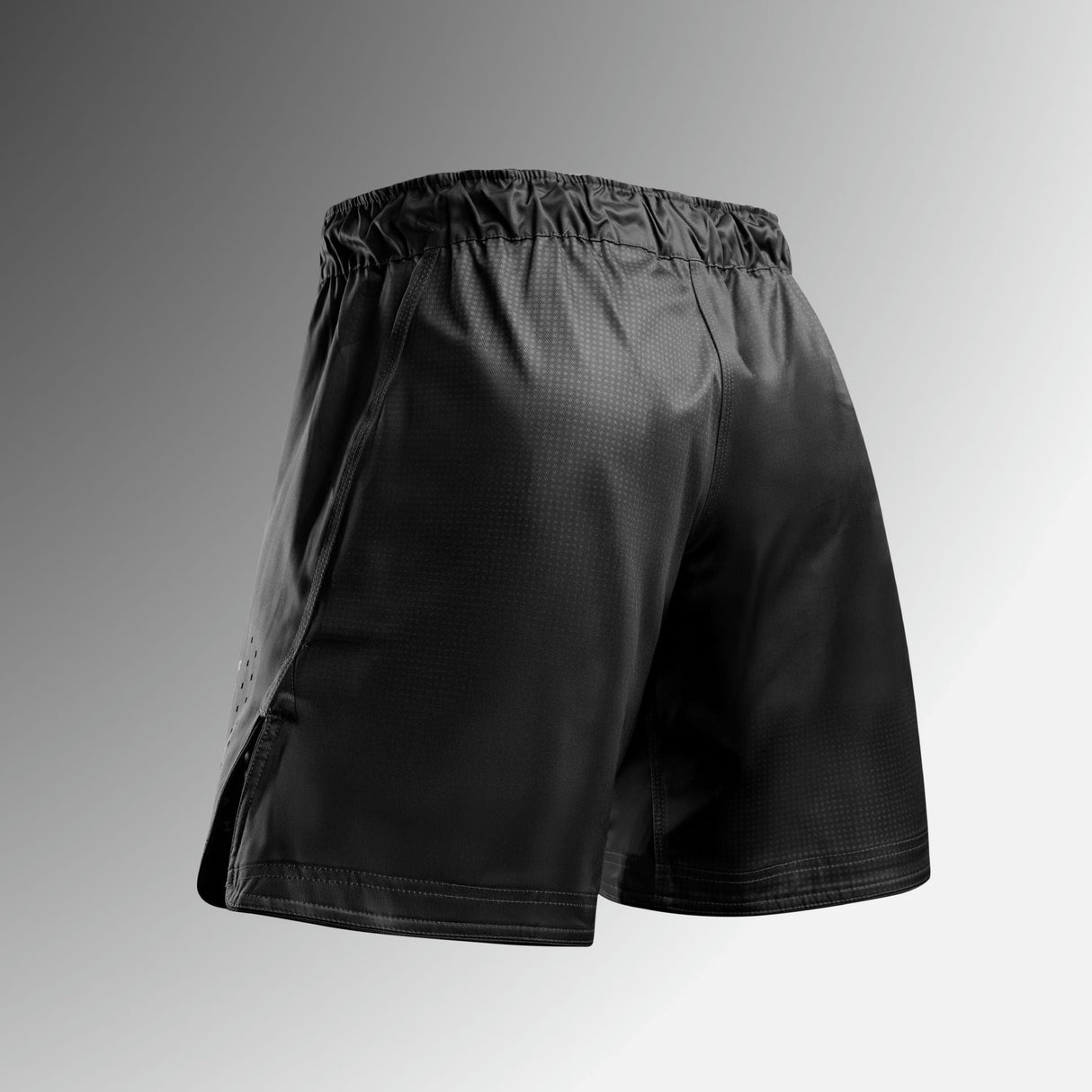 Hayabusa MMA Shorts Apex Core - Schwarz