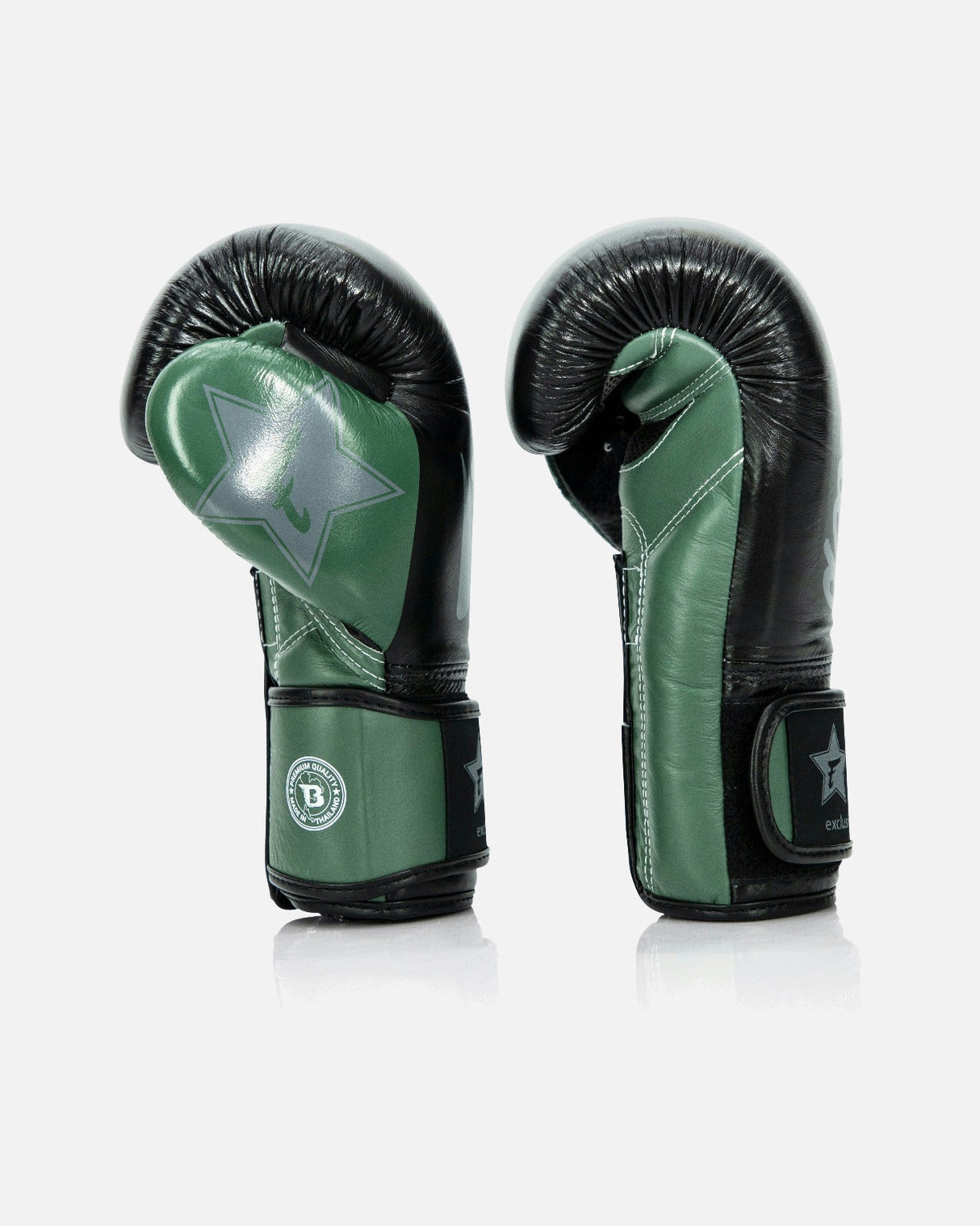 Fairtex Boxhandschuhe FXB V2 - Grün