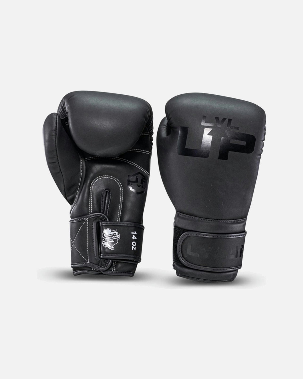 LVL UP Boxhandschuhe BG - Schwarz