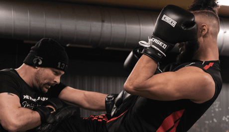 boxhandschuhe the fight company