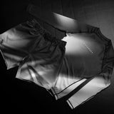 Hayabusa Rashguard Apex Nova Lange Ärmel - Grau