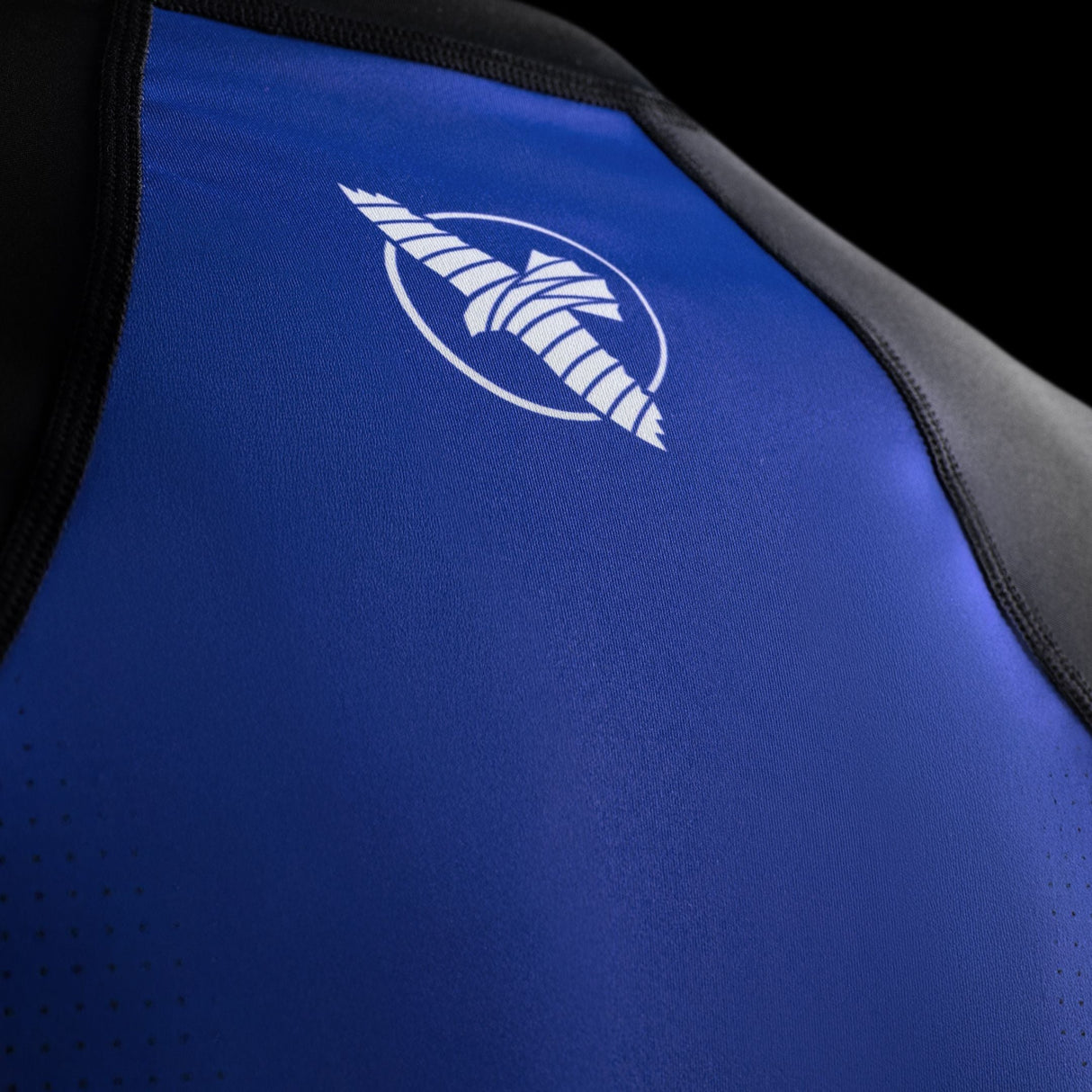 Hayabusa Rashguard Pro Ranked Lange Ärmel - Blau