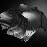 Hayabusa Rashguard Apex Nova Kurzarm - Grau