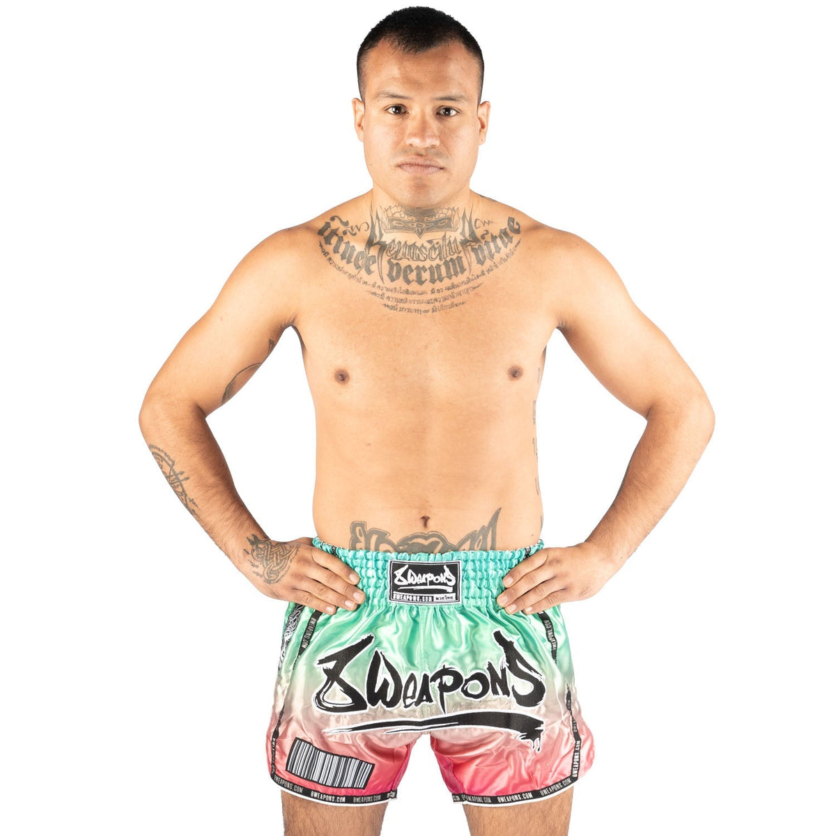 8 WEAPONS Muay-Thai-Shorts Vivo Mesosphere - Mesosphere