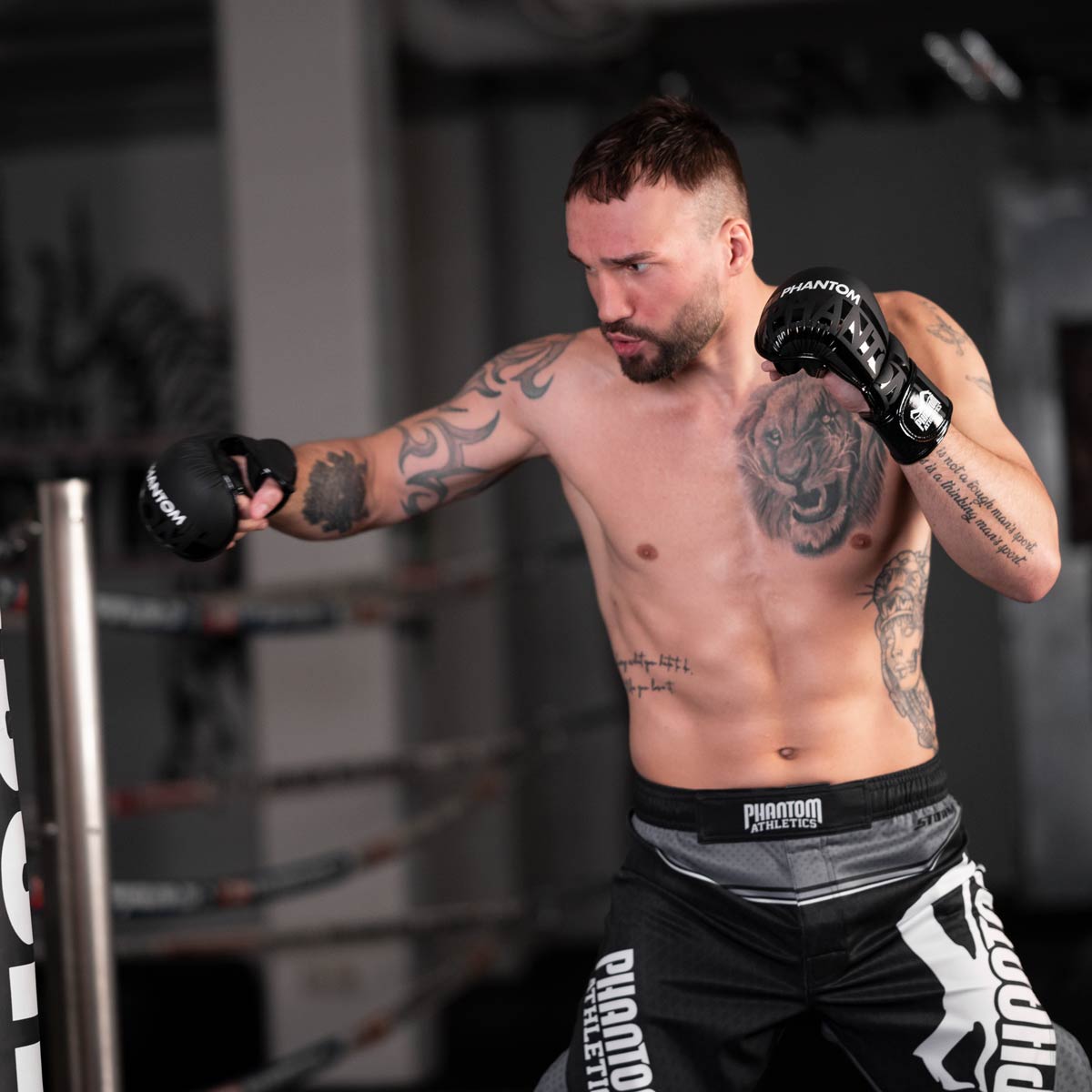 Phantom Athletics MMA-Handschuhe APEX - Schwarz