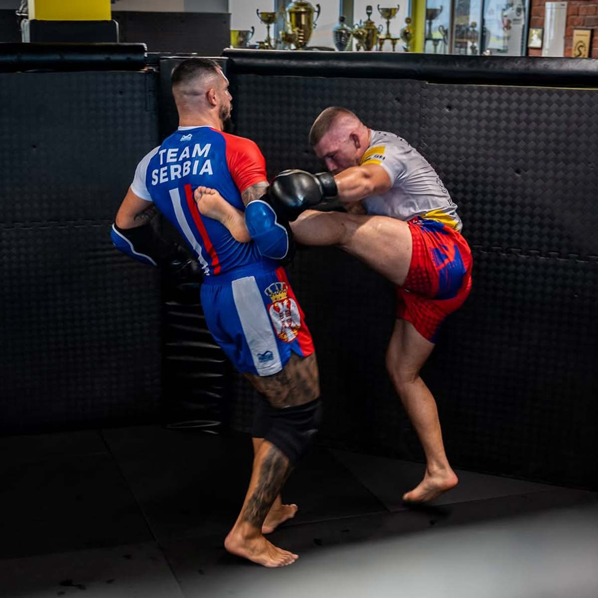 Phantom Athletics MMA Shorts Fusion-R Team Serbia - Rot/Weiß/Blau