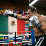 Phantom Athletics Boxhandschuhe Mexico - Silber/Schwarz