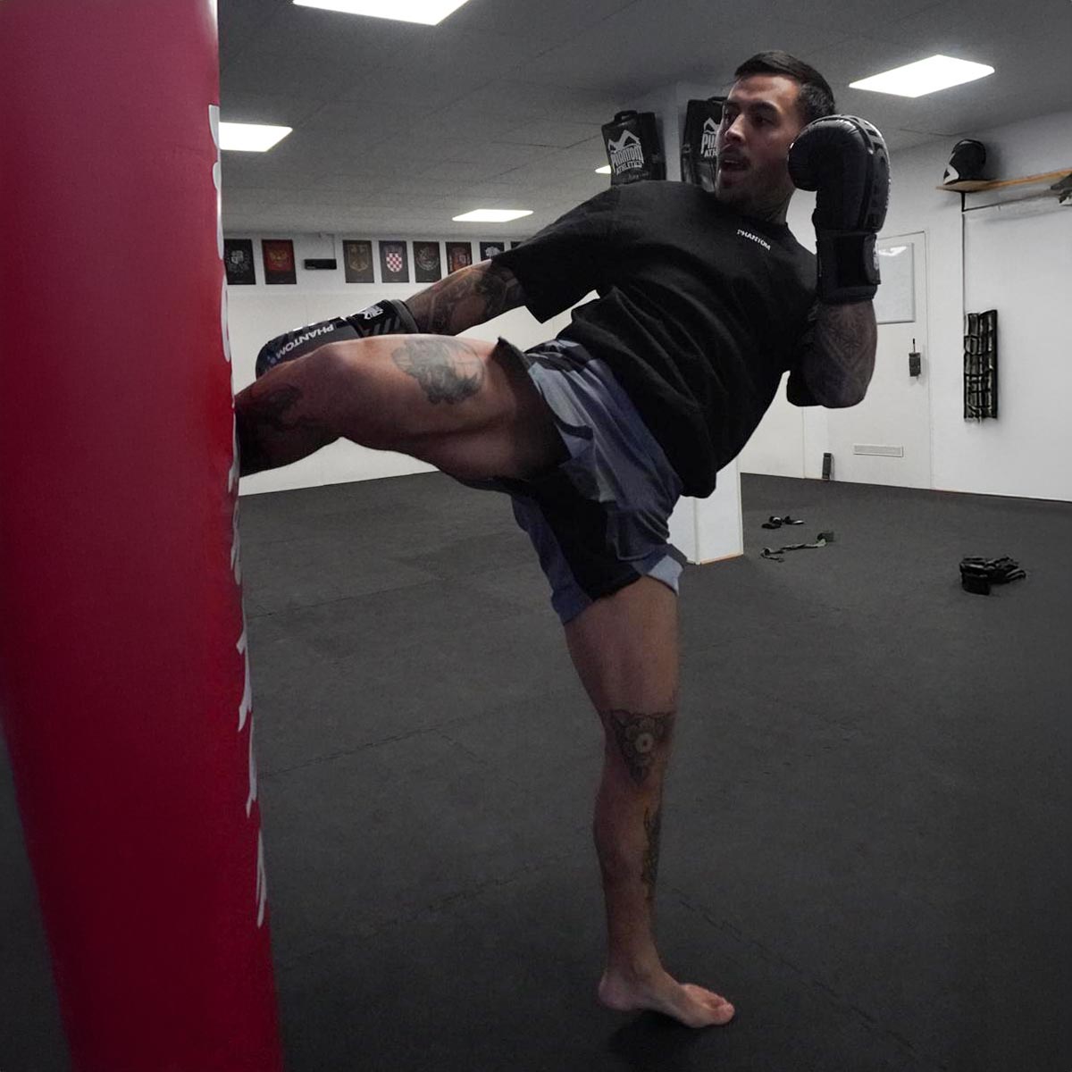 Phantom Athletics MMA Shorts EVO Apex - Grau