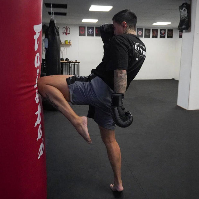 Phantom Athletics MMA Shorts EVO Apex - Grau