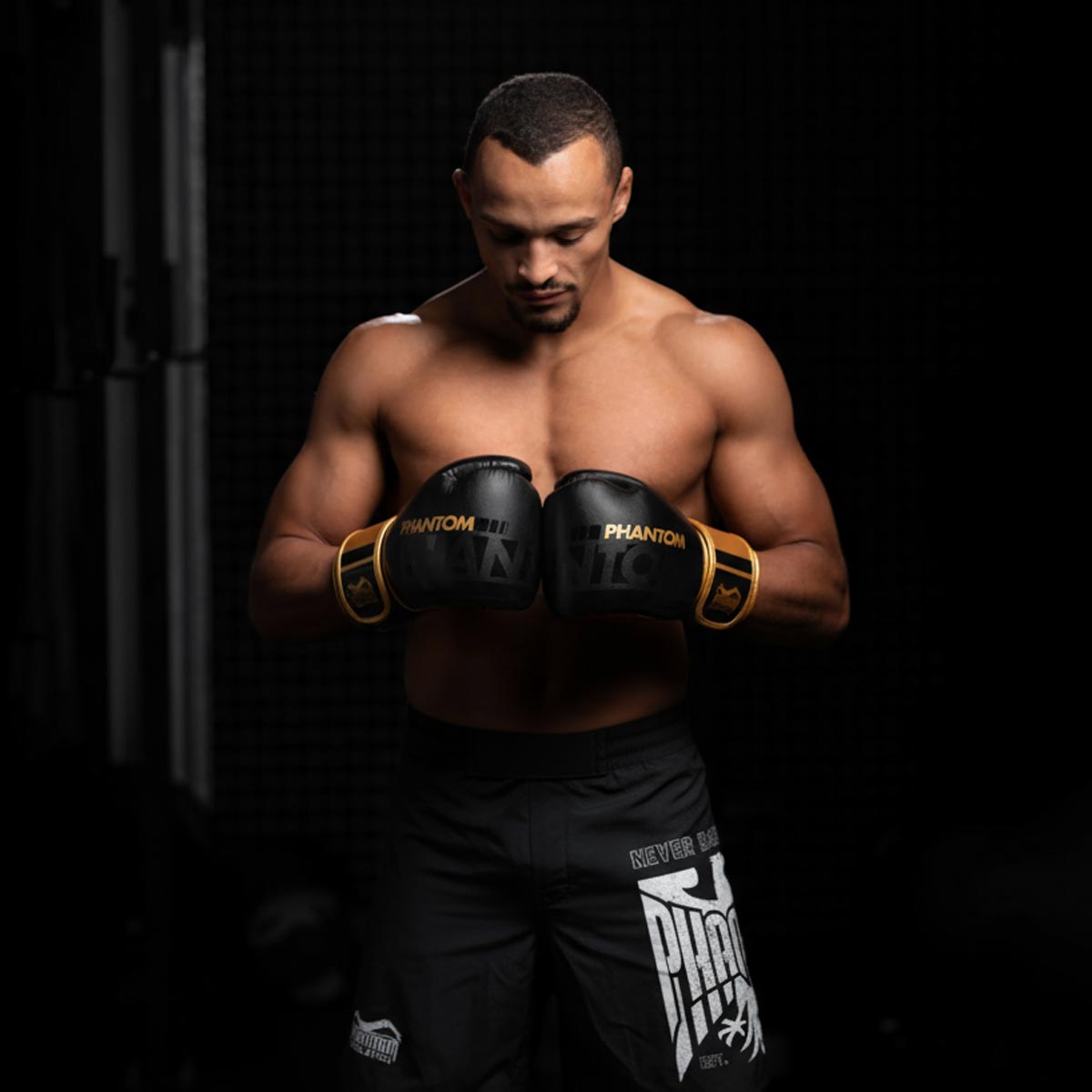Phantom Athletics MMA Shorts Fusion Germany - Schwarz