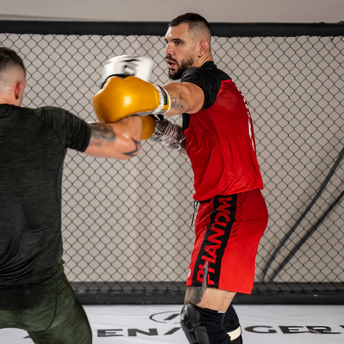 Phantom Athletics MMA Shorts EVO Apex - Rot