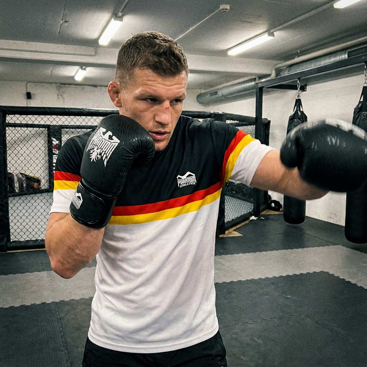 Phantom Athletics Boxhandschuhe Germany - Schwarz/Weiß