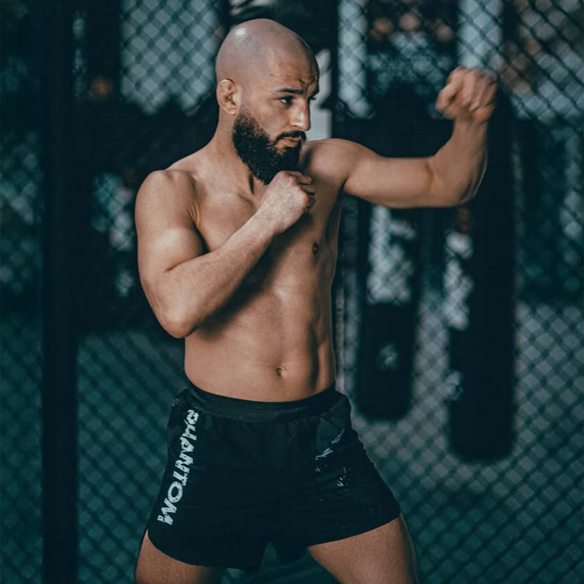 Phantom Athletics MMA Shorts Fusion-R Werewolf - Schwarz/Grau