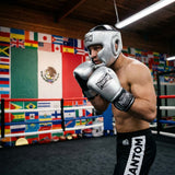 Phantom Athletics Boxhandschuhe Mexico - Silber/Schwarz