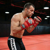 Phantom Athletics MMA-Handschuhe Mexico - Rot