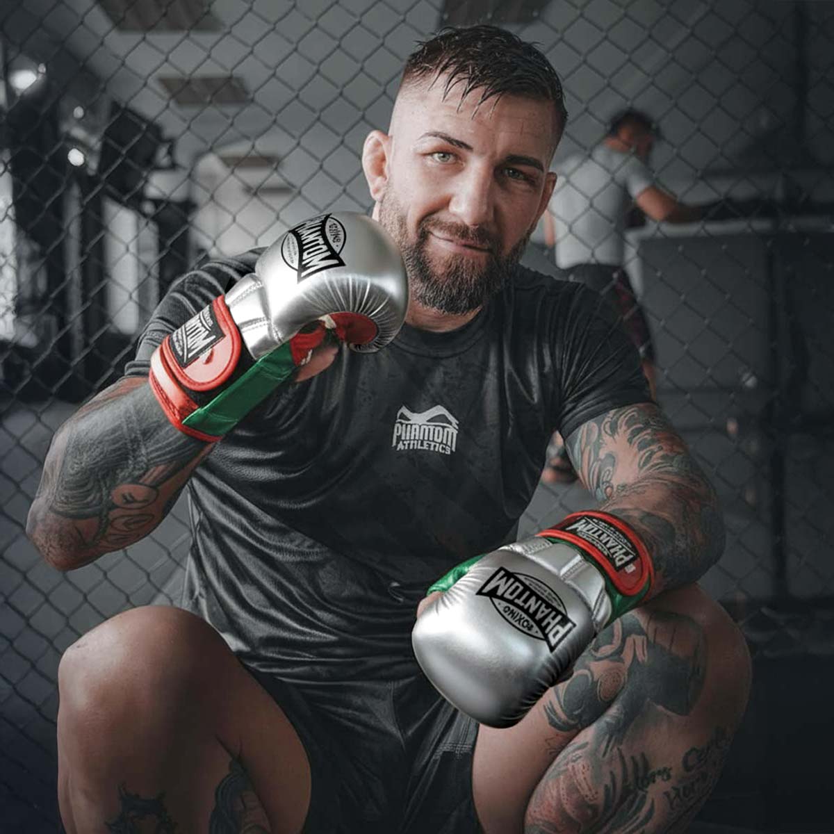 Phantom Athletics MMA Handschuhe Mexico - Silber/Grün/Rot