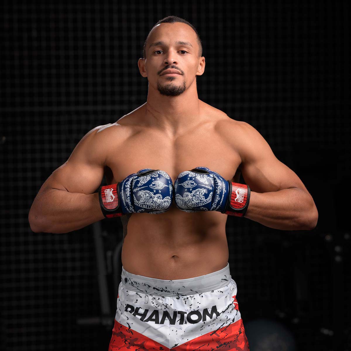 Phantom Athletics MMA Handschuhe Sparring Muay Thai - Blau