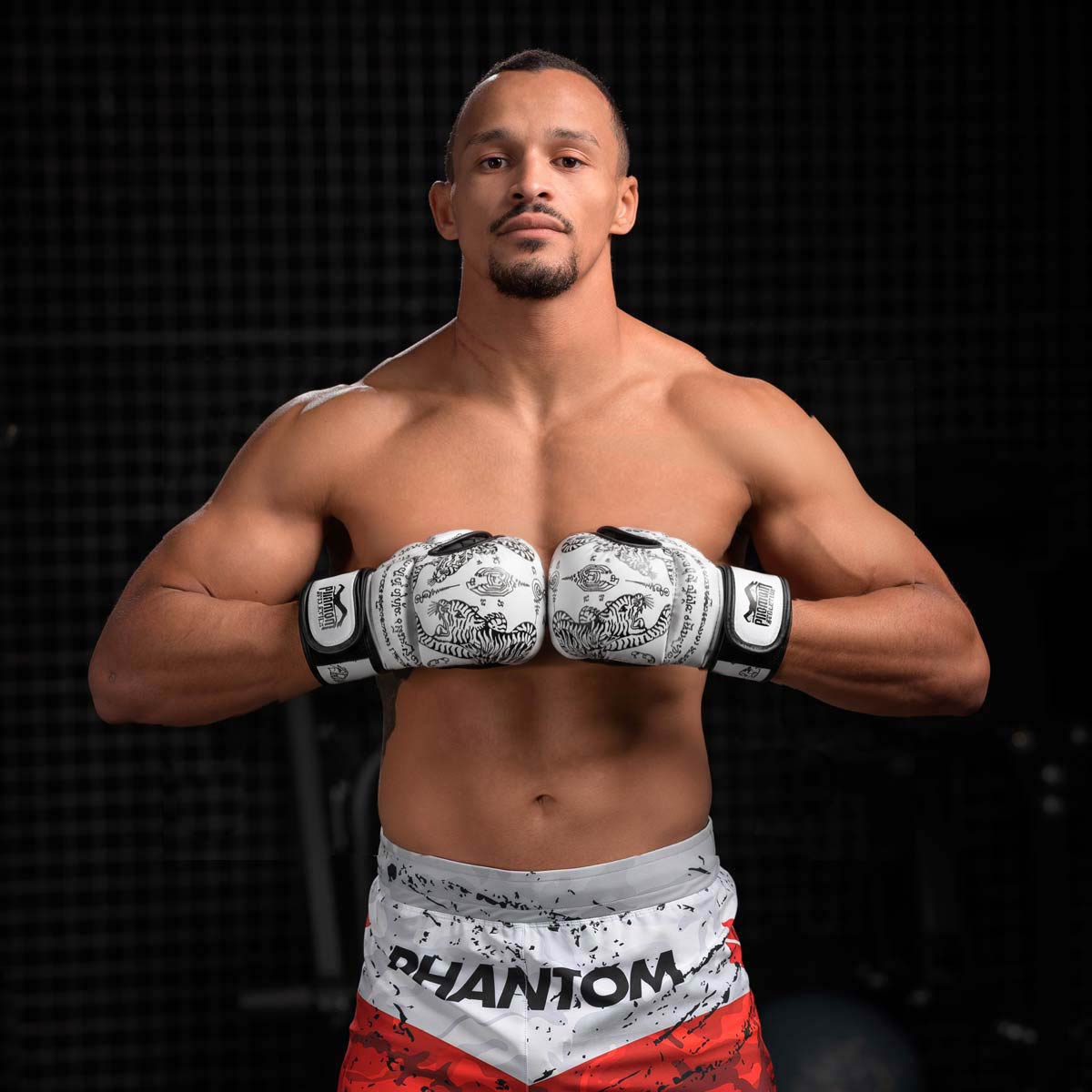 Phantom Athletics MMA Handschuhe Sparring Muay Thai - Weiß